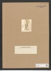 Stauroneis costata O'M. (de-Toni-Nr.: Genus 6, Species 921) Zeichnungen Sammlung Grunow Nr. 1779 (NHMW-BOT-W0368677)